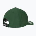 Cappello Pitbull Snapback ,,Logo" Verde ibrido 2