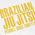Maglietta Pitbull West Coast BJJ Champions uomo bianco 3