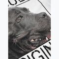 Maglietta Pitbull West Coast Origin bianca da uomo 7