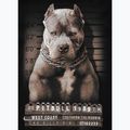 Maglietta Pitbull West Coast Mugshot 2 nera da uomo 8