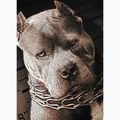 Maglietta Pitbull West Coast Mugshot 2 nera da uomo 9