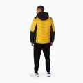Pitbull West Coast giacca invernale da uomo Evergold con cappuccio imbottito giallo/nero 3