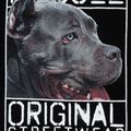 Felpa da uomo con cappuccio Pitbull West Coast Origin nero 7