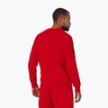 Felpa uomo Pitbull Sherwood Crewneck rosso 3