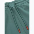 Pantaloni da jogging Pitbull West Coast Explorer da uomo, menta 6