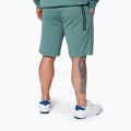 Pantaloncini Pitbull West Coast Explorer da uomo, menta 4