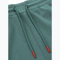 Pantaloncini Pitbull West Coast Explorer da uomo, menta 7