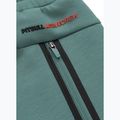 Pantaloncini Pitbull West Coast Explorer da uomo, menta 8