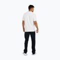 Polo Pitbull West Coast Rockey da uomo, bianco 3