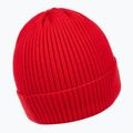 Berretto invernale da uomo Pitbull Beanie Dock red 2