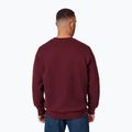 Felpa uomo Pitbull Small Logo Crewneck bordeaux 3
