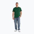 Maglietta Pitbull Small Logo verde foglia da uomo 2