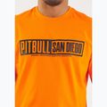 Maglietta Pitbull Eighty Nine Dog da uomo, arancione 5