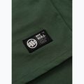 Maglietta Pitbull Small Logo uomo verde 12