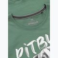 Maglietta da donna Pitbull Puppy 2 menta 6