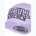 Cappellino Pitbull Snapback Dal 1989 Classico lilla 3