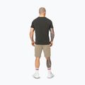 Pitbull Dogwood Sport pantaloncini da uomo sabbia scuro 3