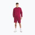 Pitbull Tape Nugget Crewneck Felpa da uomo bordeaux 2