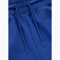 Pantaloni da jogging Pitbull Tape Nugget uomo blu elettrico 6