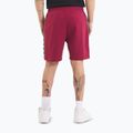 Pantaloncini Pitbull Tape Nugget uomo bordeaux 3