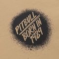 Pitbull Graffitti Uomo Felpa girocollo sabbia chiara 5