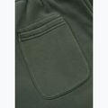 Pantaloni da corsa Pitbull Lancaster 2 da uomo verde salvia 9