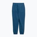 Pantaloni da corsa Pitbull Lancaster 2 da uomo, tonalità blu 8