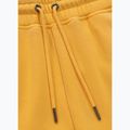 Pantaloni da corsa Pitbull Lancaster 2 da uomo, giallo slavato 8