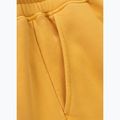 Pantaloni da corsa Pitbull Lancaster 2 da uomo, giallo slavato 10