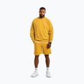 Pantaloncini da uomo Pitbull Lancaster 2 lavato giallo 2
