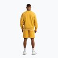 Pantaloncini da uomo Pitbull Lancaster 2 lavato giallo 4
