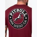 Maglietta Pitbull San Diego CA nera bordeaux da uomo 3