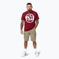 Maglietta Pitbull Logo Palms uomo bordeaux 2