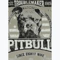 Maglietta da uomo Pitbull Troublemarker dusty salvia 5