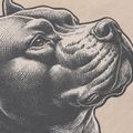 Maglietta Pitbull pacific ultra light sand da uomo 9