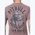 Maglietta Pitbull pacific dusty bordeaux da uomo 3