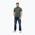 Polo Pitbull Washed da uomo verde salvia 2