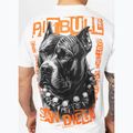 Maglietta Pitbull Blacky bianca da uomo 4