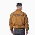 Giacca uomo Pitbull Radford Baseball honey yellow 3
