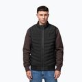 Gilet uomo Pitbull Naylor Padded black