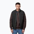 Gilet uomo Pitbull Naylor Padded black 5
