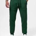 Pantaloni uomo Pitbull Small Logo HD Track hunter green