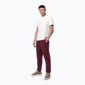 Pantaloni uomo Pitbull Hilltop Track Hatton burgundy 2