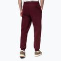 Pantaloni uomo Pitbull Hilltop Track Hatton burgundy 3