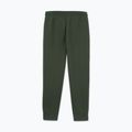 Pantaloni uomo Pitbull Sampson Track Pants old green 5