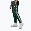Pantaloni uomo Pitbull Trackpants Tape Logo Terry Group bottle green 5