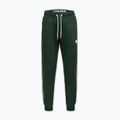 Pantaloni uomo Pitbull Trackpants Tape Logo Terry Group bottle green 6