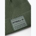 Berretto invernale Pitbull Beanie Dock grassy green 2