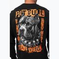 Felpa uomo Pitbull Crewneck Blacky black 4