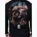 Felpa uomo Pitbull Hero Hooded black 3